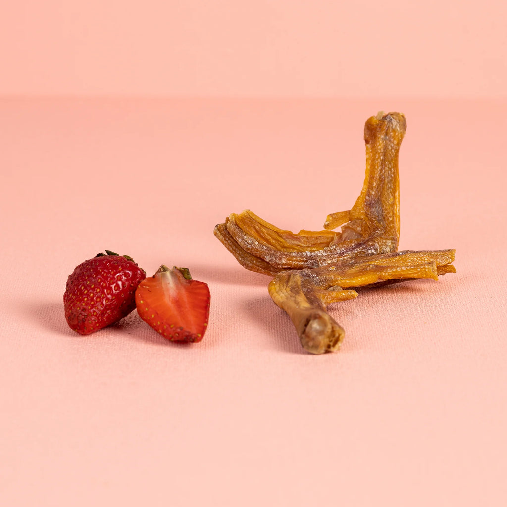 Dehydrated Duck Feet 6pcs