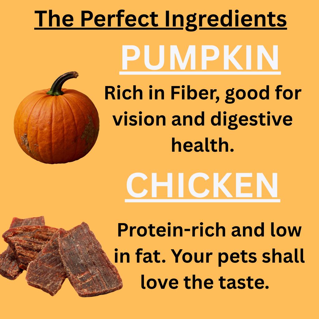Chicken Jerky with Pumpkin - 70 g