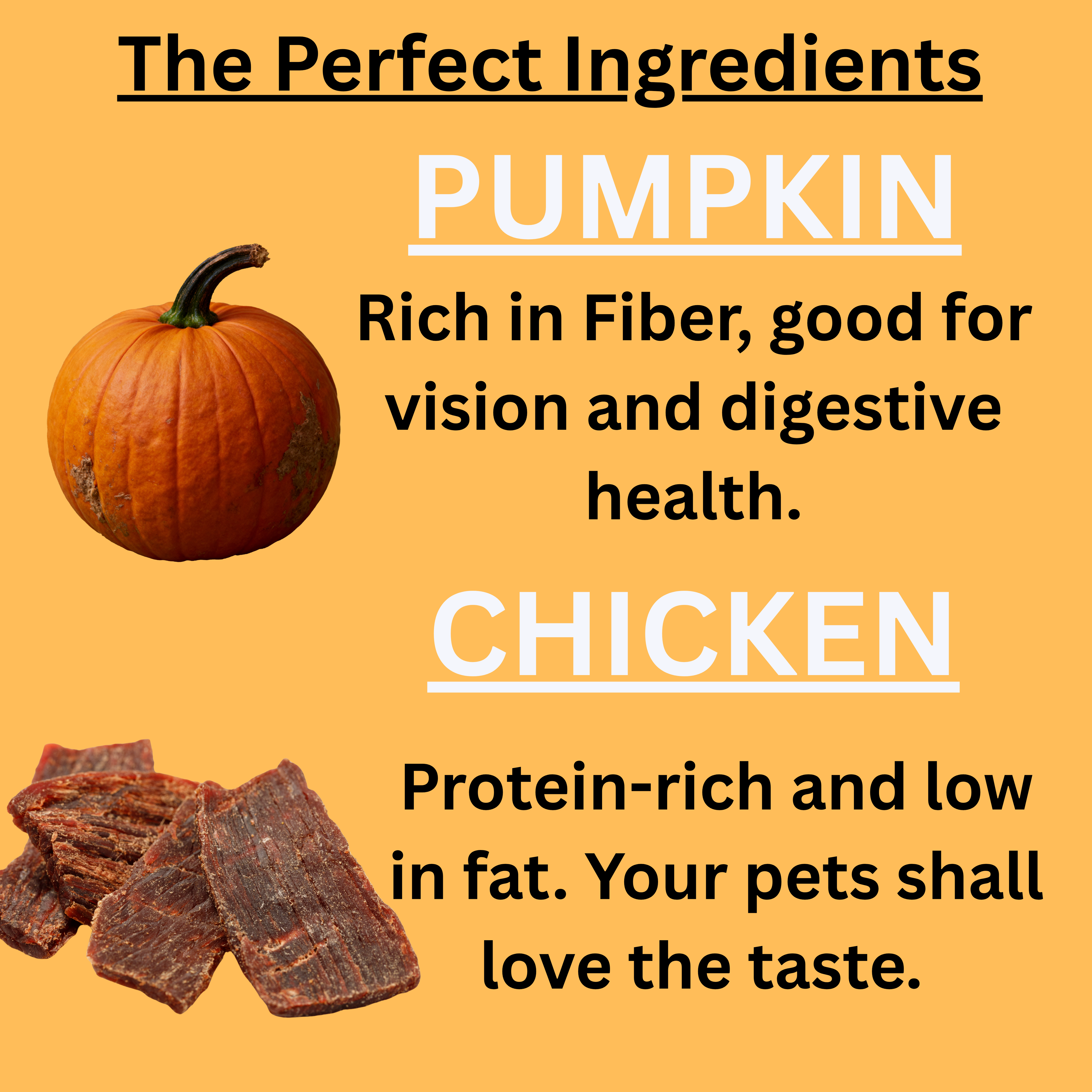 Chicken Jerky with Pumpkin - 70 g