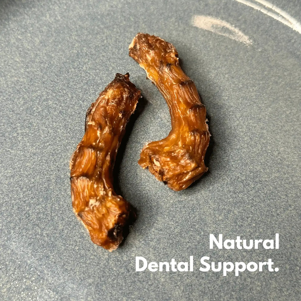 SF Natural Chews Doggie Dehydrated Chicken Neck - 70 g